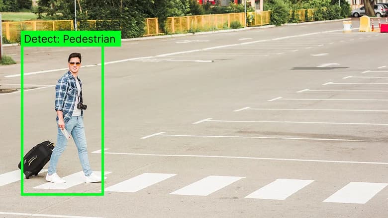 Pedestrian Detection in Restricted Zone