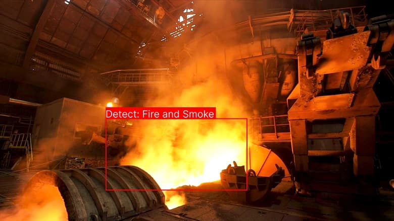 Smoke and fire inside plant